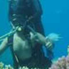 Mahmoud M. Aboalmaty