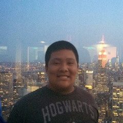 Stephen Vu