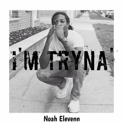 Noah Elevenn