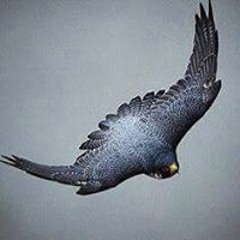 tera_ishq_vi_ae_pagal_mera_husan_vi_dewana.m4a