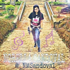 NMSandoval