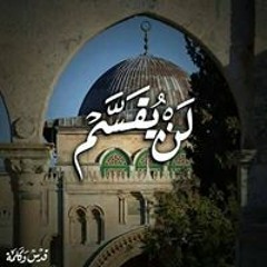Shimaa Tarek