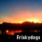 frisky dogs