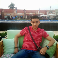 Samer Amr