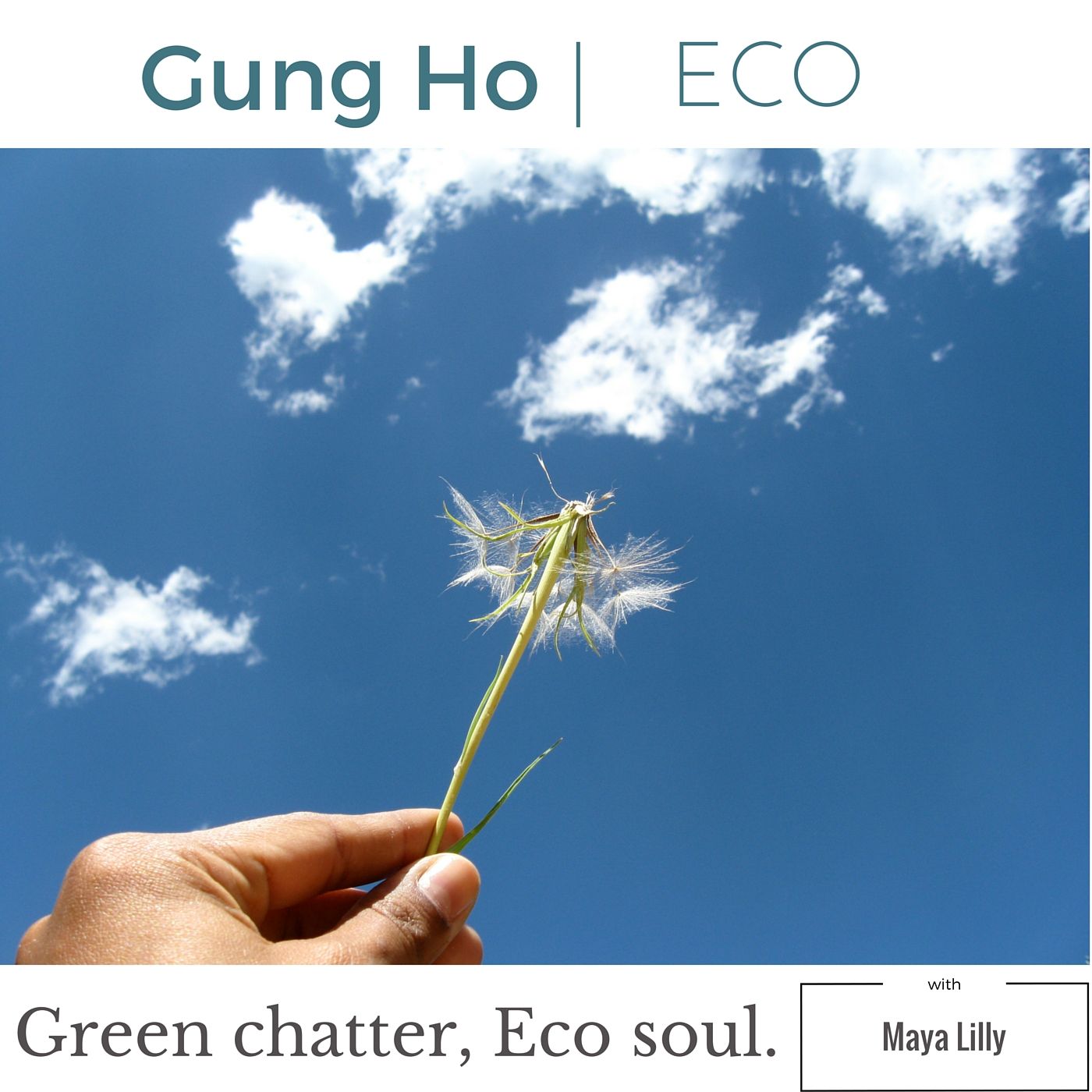 GungHo Eco