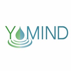 YoMIND
