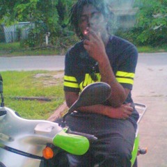 B.G.M. Bat Life ent.