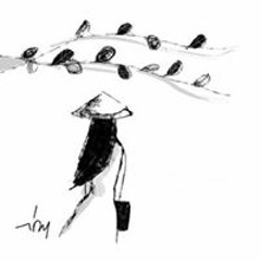 Cuong Doan