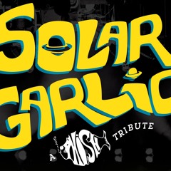 solargarlicband