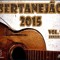 Sertanejo 2015
