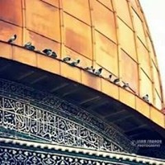 بسمة الحربي