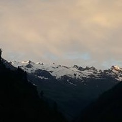 Chaman Rana