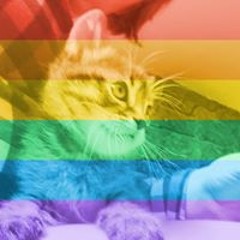 Chelsae Kay Kronland