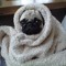 princess.maig