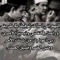 Amr Essam Fattouh