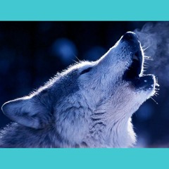 littlewolfee