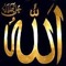 Mohamed EL Shahat