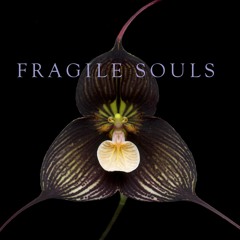 Fragile souls