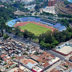 Oso Nájera