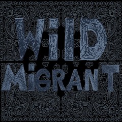 Wild Migrant