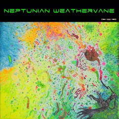 Neptunian Weathervane
