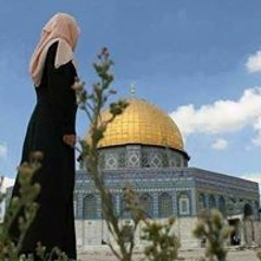 Samah Elb-ishlawy