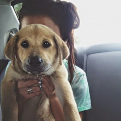 laura “FallinBeauty” -