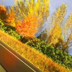 Alternative Playlist