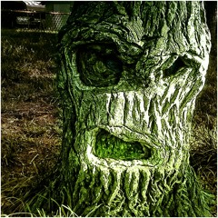 Trüffel und Tequila