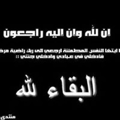 Hassan Mohamed El Gendy