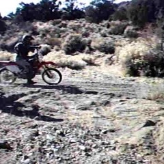 ripsnort