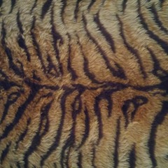 Funknox - Adjusted Infection (altmuligtfunk Battle)