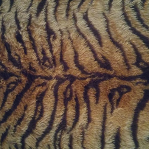 Funknox - Adjusted Infection (altmuligtfunk Battle)