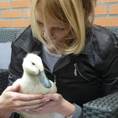 Evelien Kleine Schaars