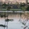 Muhmed Muhmoud