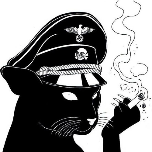 Кот в каске рисунок