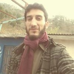 Hammad Hussain Shah