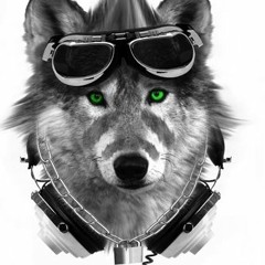 CJwolfpup11