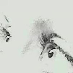 Misty Spring Summerville