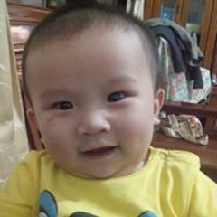 秦樘樘