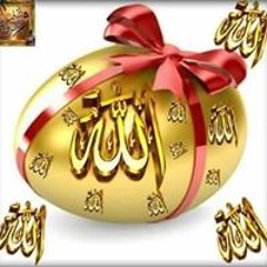 Lotfia Lotfy