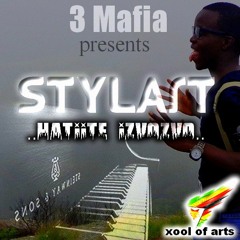 Tinotenda Stylart Mhlanga