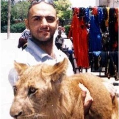 مدحت صالح و هاني شاكر تحفة.mp3