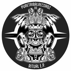 Pure Tribal Records
