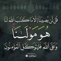 user316925794