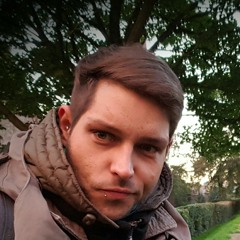 Sir Le Fou