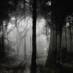 DARCUS (coming soon)