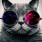 GalaxyCat200