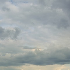 Emil