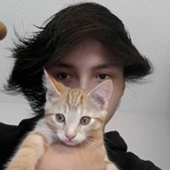 Warren Albert-Jacob Kolb